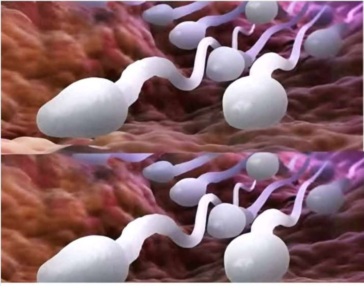 🛑 Studies reveal that swallowing your partner’s semen… Read more