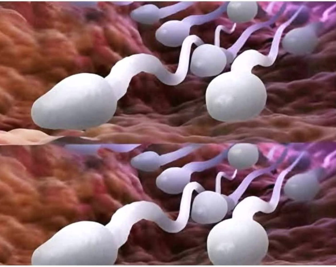 🛑 Studies reveal that swallowing your partner’s semen… Read more